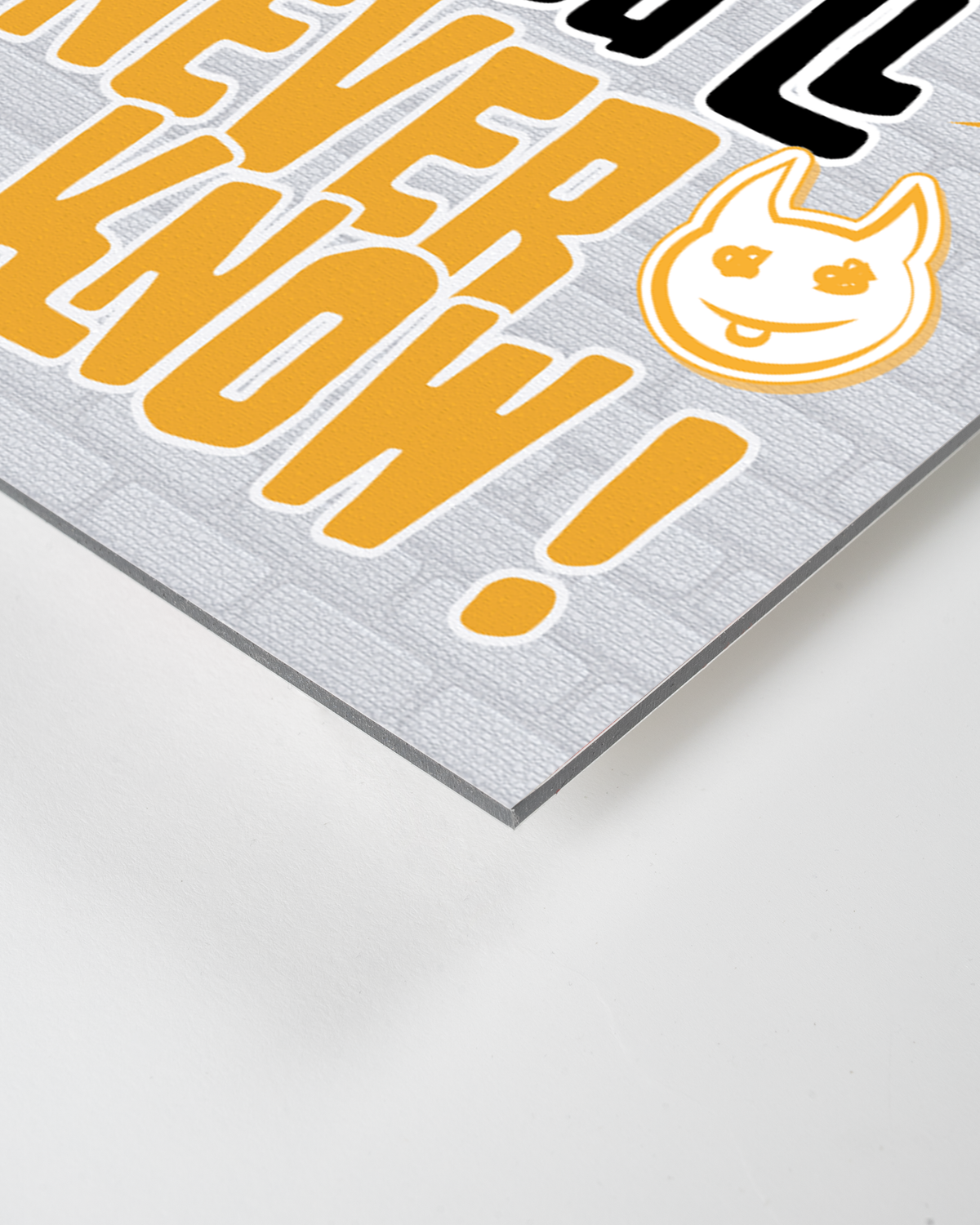 IF YOU NEVER TRY YOU'LL NEVER KNOW !