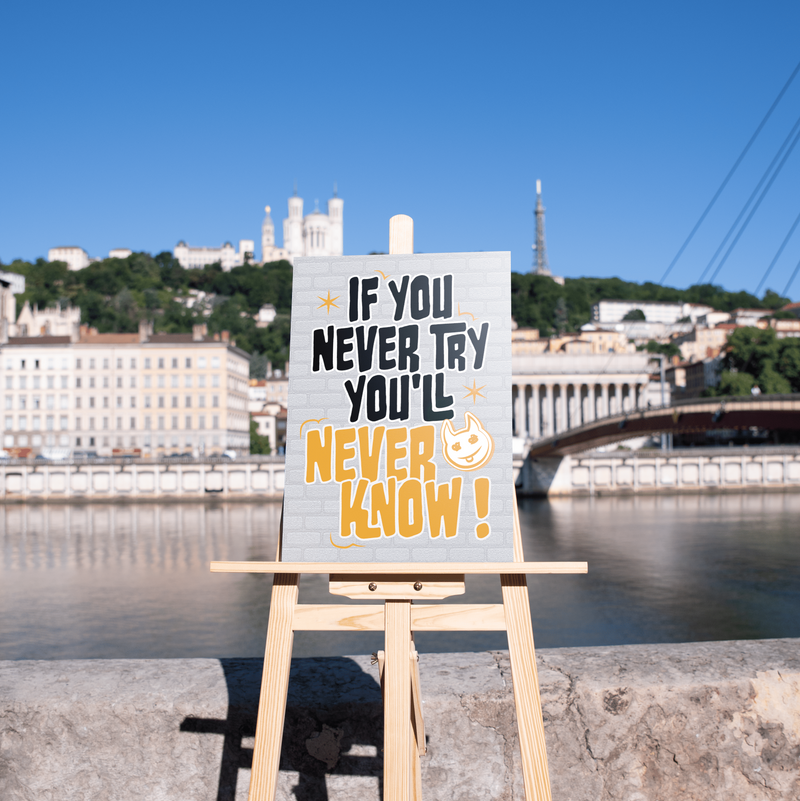 IF YOU NEVER TRY YOU'LL NEVER KNOW !