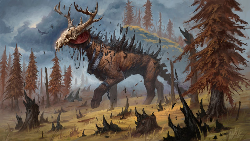 Cerf - Maxime - CelestClub