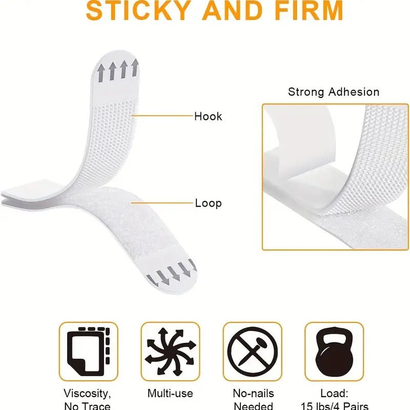 Le Roi de la savane - CelestClub