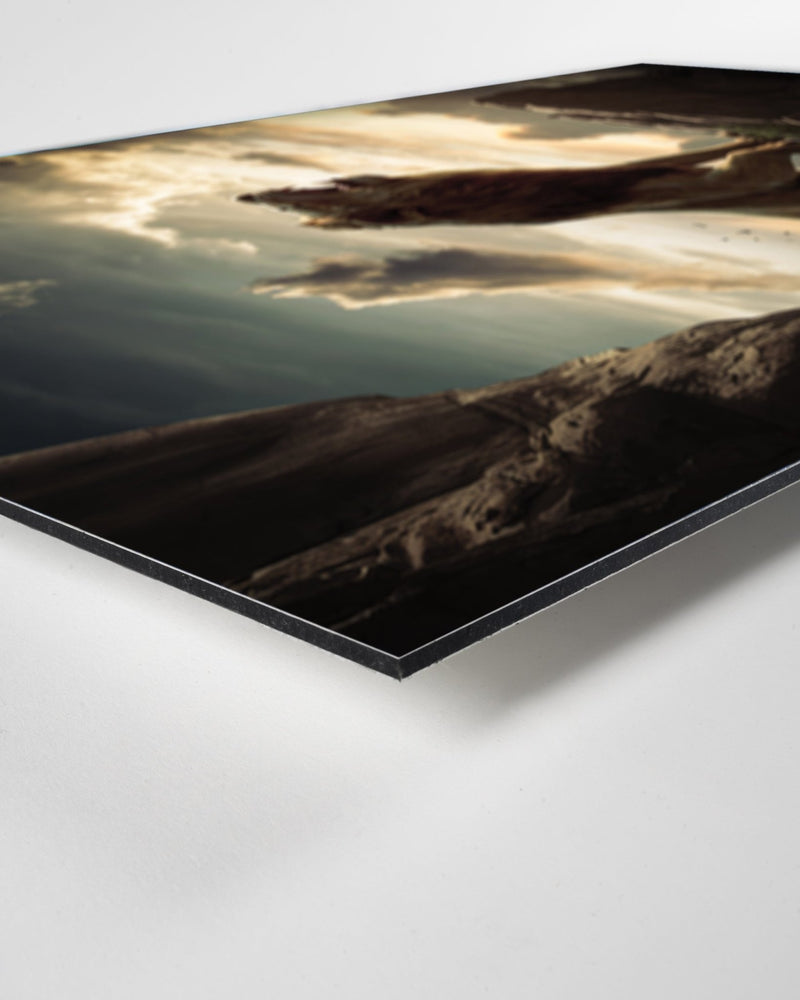 Le Roi de la savane - CelestClub