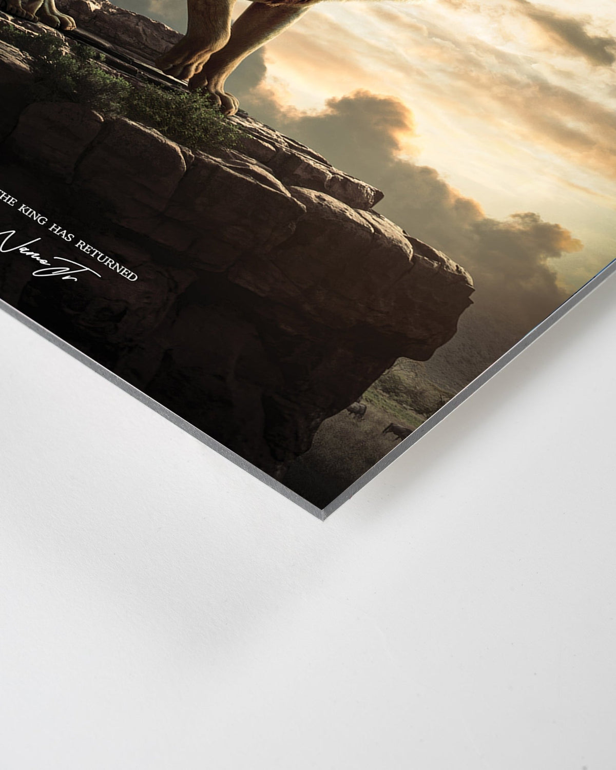 Le Roi de la savane - CelestClub