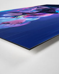 Lucy - Useless elf - CelestClub